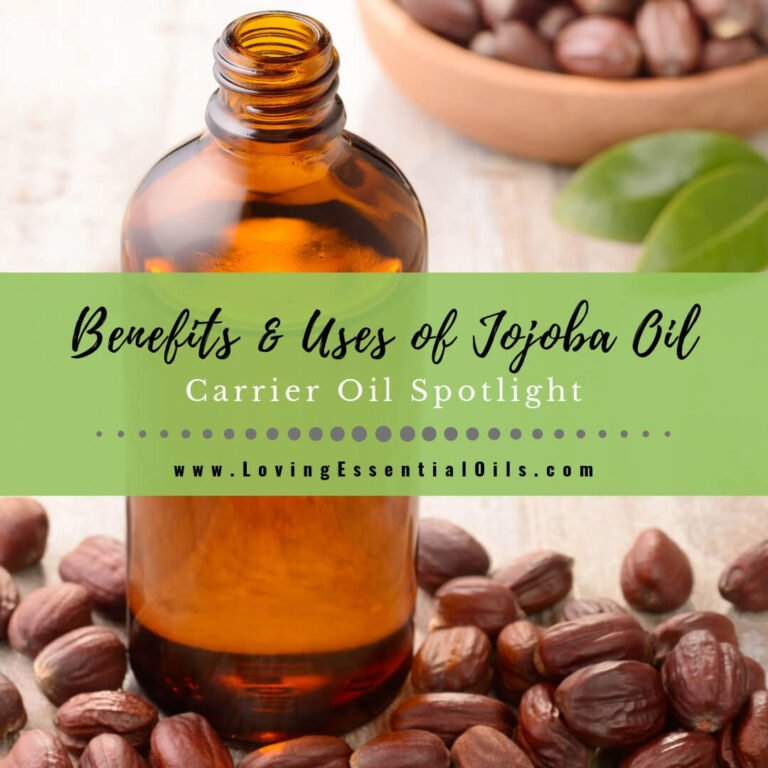 Beneficios y usos del aceite portador de jojoba Una guía para el cuidado natural de la piel