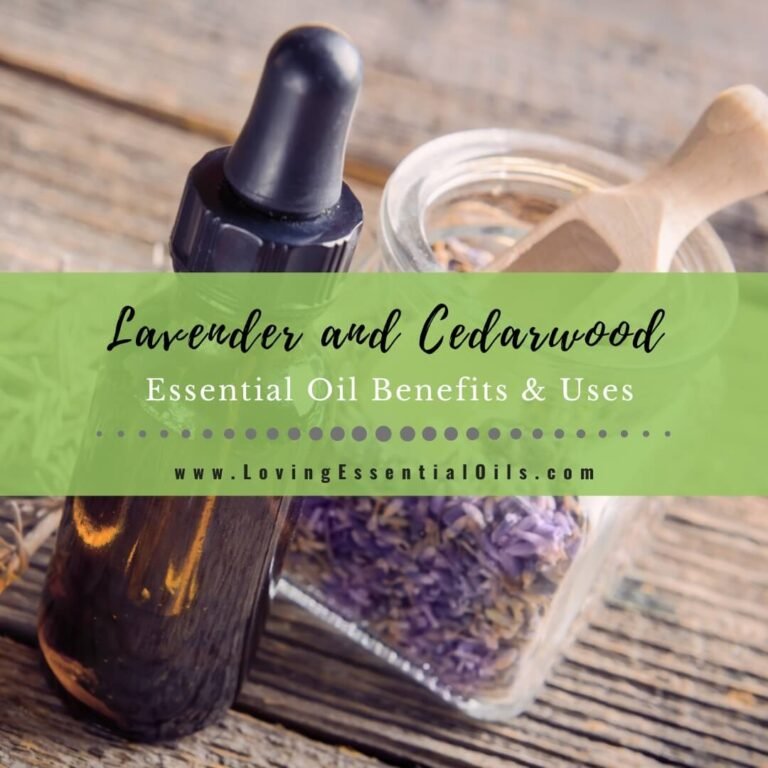 Beneficios y usos de los aceites esenciales de lavanda y cedro – Essential Oils We Love