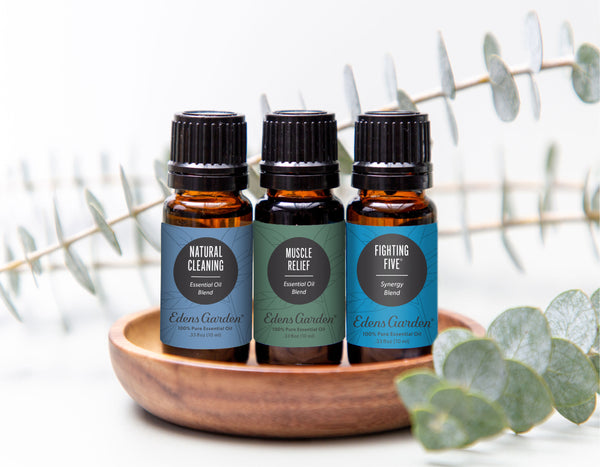 todo lo que necesitas saber