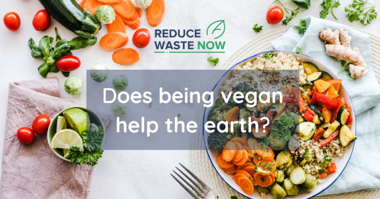 Por qué el veganismo es bueno para el medio ambiente