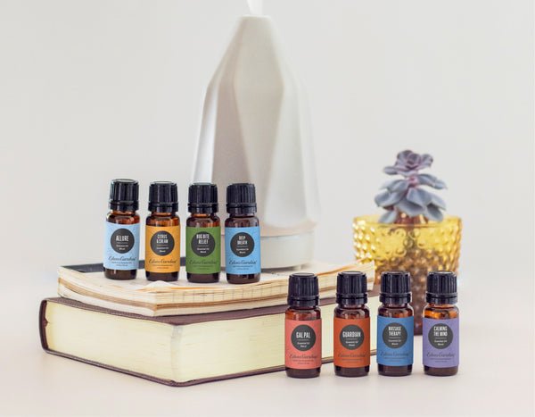 todo lo que necesitas saber