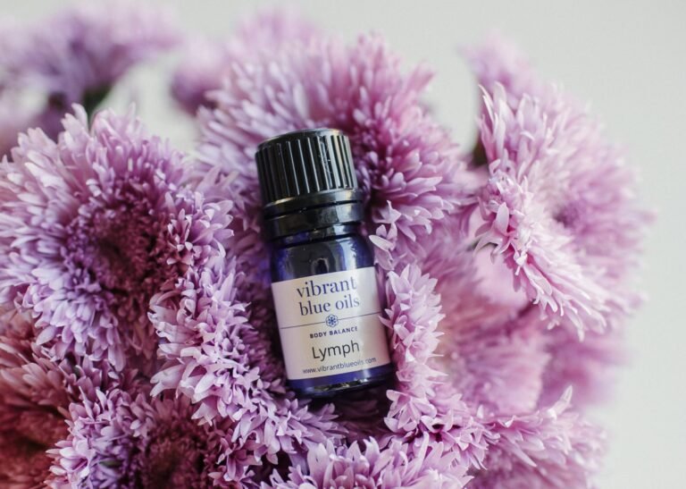 Cómo el sistema linfático apoya al sistema inmunológico