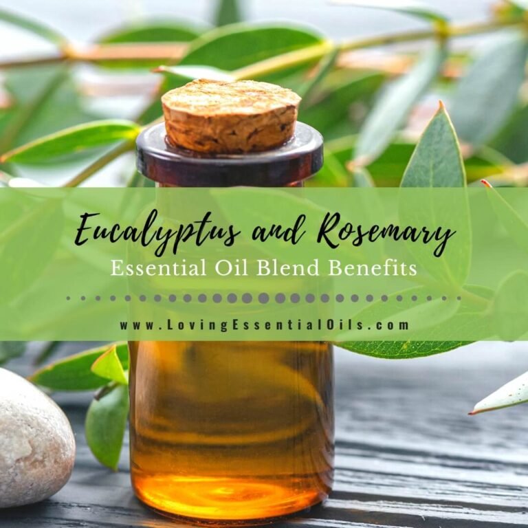 Beneficios de la mezcla de aceites esenciales de eucalipto y romero – Love Essential Oil
