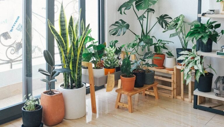 La sostenibilidad comienza en casa: el papel de la inspección en la vida ecológica