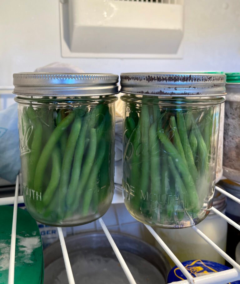 Cómo blanquear y congelar judías verdes sin plástico