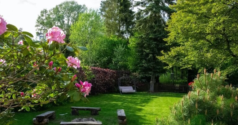 5 sencillos consejos para crear un patio trasero ecológico