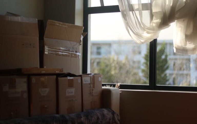 Consejos de mudanzas ecológicas que necesitas saber