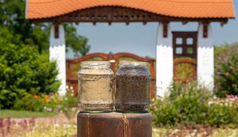 Del suelo a la piel: por qué Eminence Organics emplea prácticas de agricultura regenerativa