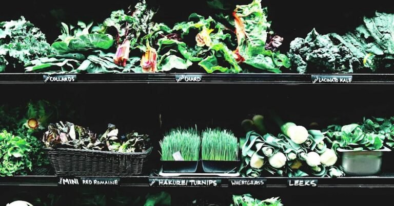 El impacto de los menús de cafetería basados ​​en plantas en la sostenibilidad del campus universitario