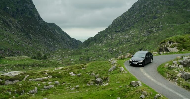 La opción ecológica: compre un automóvil usado para un futuro más ecológico