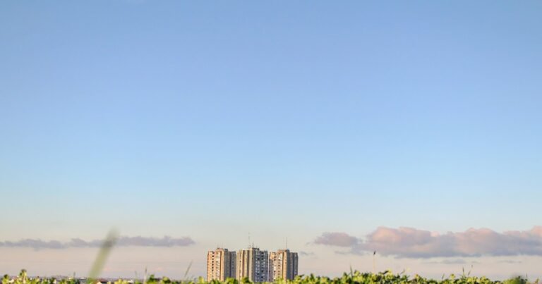 Los 5 mejores materiales para techos ecológicos: materiales reciclables o biodegradables