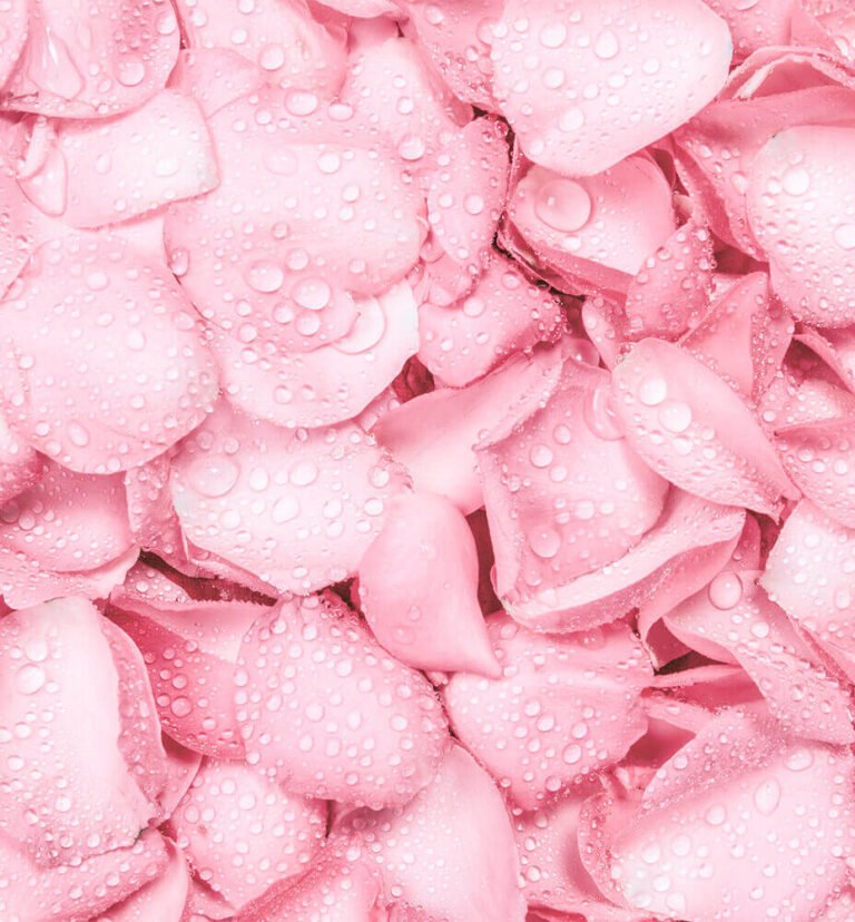 Beneficios de usar agua de rosas en tu piel – 100% pura