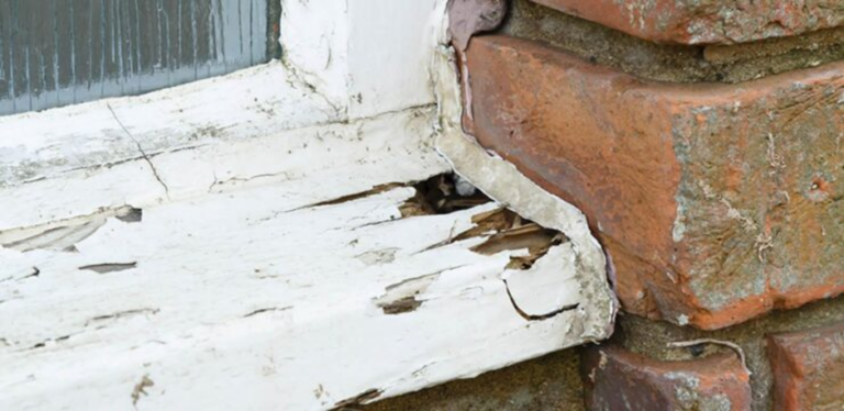 Moho en Windows: por qué los usuarios de lavandería se enfrentan a este problema con menos frecuencia