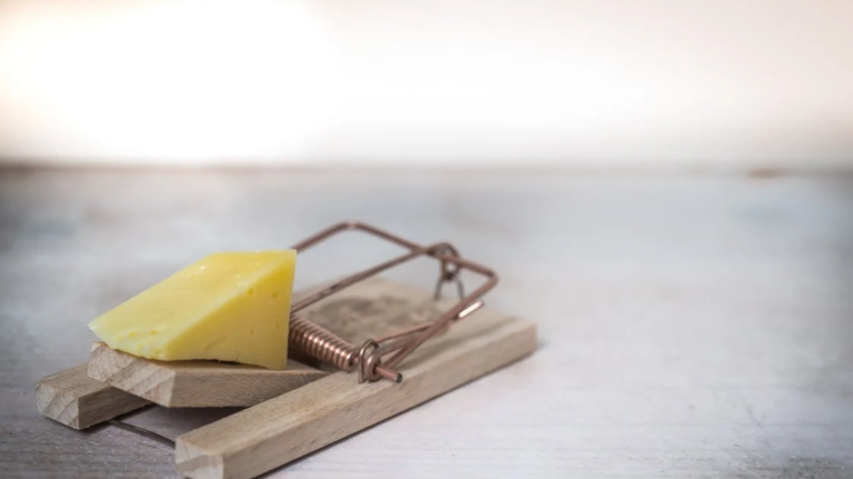 Minimizar los problemas de plagas con la atención estacional de los expertos