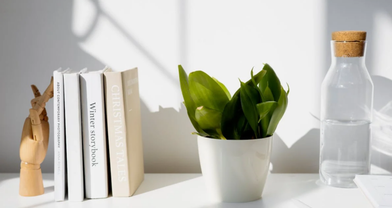 Renovar su hogar con decoraciones duraderas y respetuosas con el medio ambiente