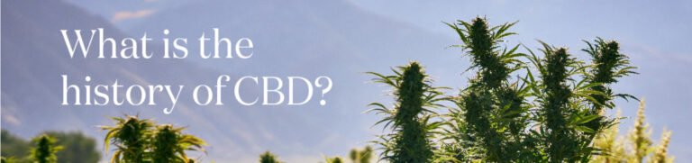 ¿Cuál es la historia del CBD? | Blog de Young Living