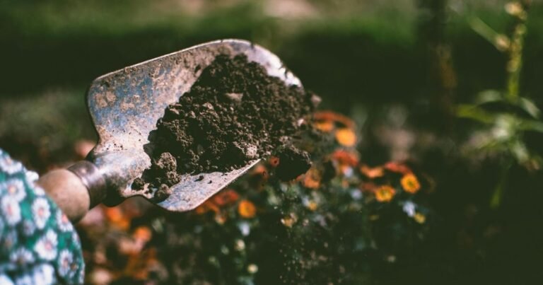 La jardinería sostenible comienza desde cero