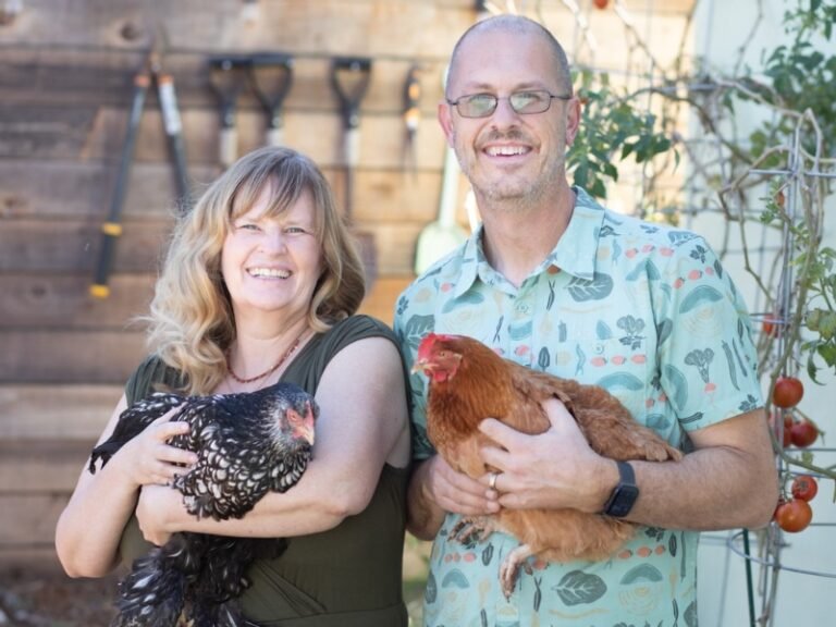Gallinas en el patio trasero de la ciudad: cómo criar pollos felices