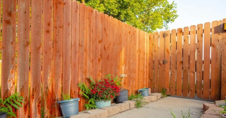 Esquema de patio trasero del presupuesto: actualizaciones sostenibles para patios, pasillos y más