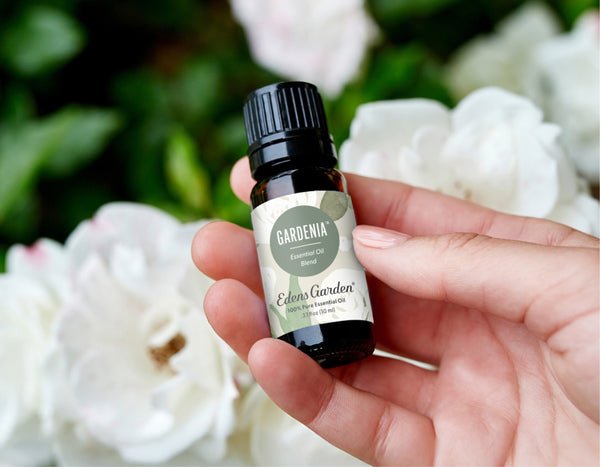 La diferencia entre los aceites de fragancia y los aceites esenciales