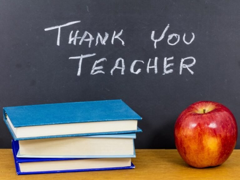 Ideas de regalos de maestro de Waste Waste End Zero: regalo reflexivo y sostenible