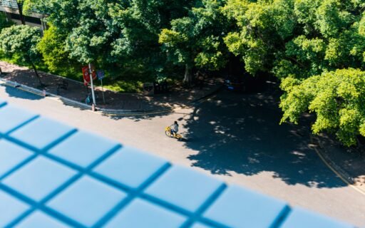 Beneficios clave de reducir el tamaño mientras se vive una vida más ecológica