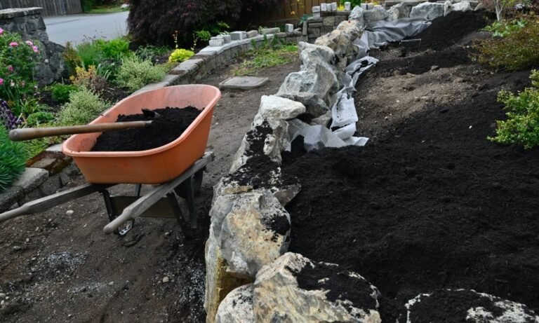 Cómo crear un diseño de paisaje sostenible