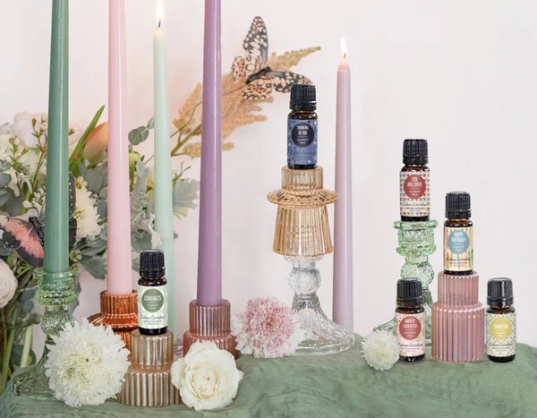 ¿Qué hay de nuevo? 6 mezclas especiales para el día