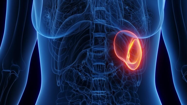 Apoya el bazo y fortalece el sistema inmunológico.